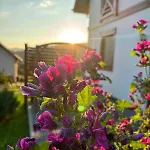 Miloffka Z Balią Apartament Milówka