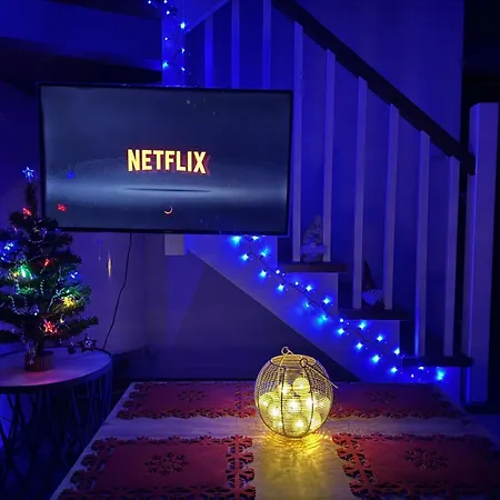 Miloffka Z Balia 밀로우카