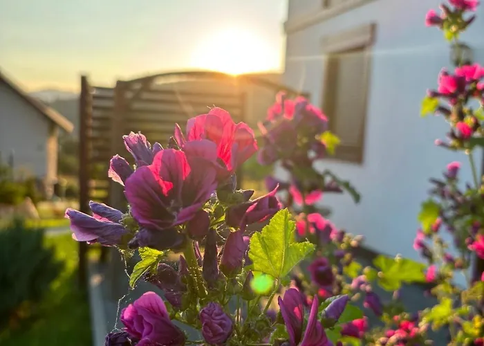 Miloffka Z Balia I Sauna 公寓 Milówka